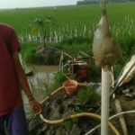 Screenshot_2022-10-17-17-54-42-92-1