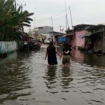 IMG-20221125-WA0257-1