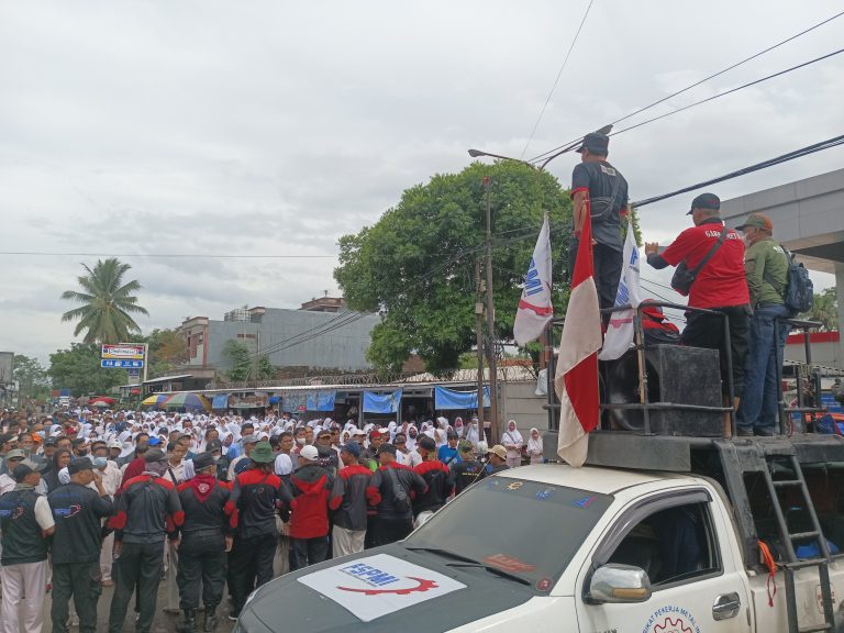 IMG_20221229_140548_213