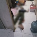 Gambar_540323