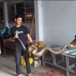 Screenshot_20230512_184539_WhatsApp