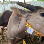 Screenshot_20230623_234414_WhatsApp