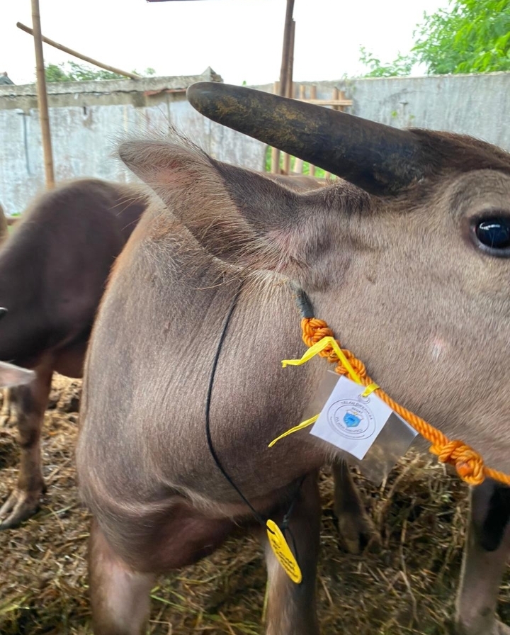 Screenshot_20230623_234414_WhatsApp