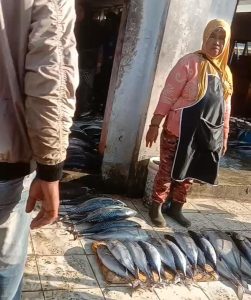 Foto seorang pedagang ikan sedang berjualan
