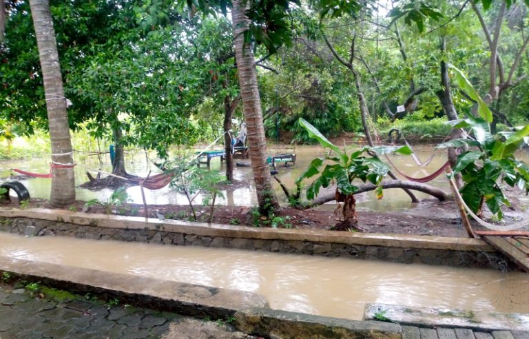 IMG-20240228-WA0010_1