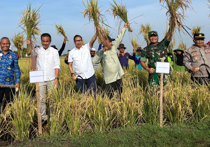 IMG-20241119-WA0005_2