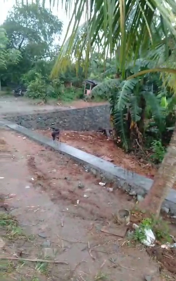 Screenshot_20241223-220037_1